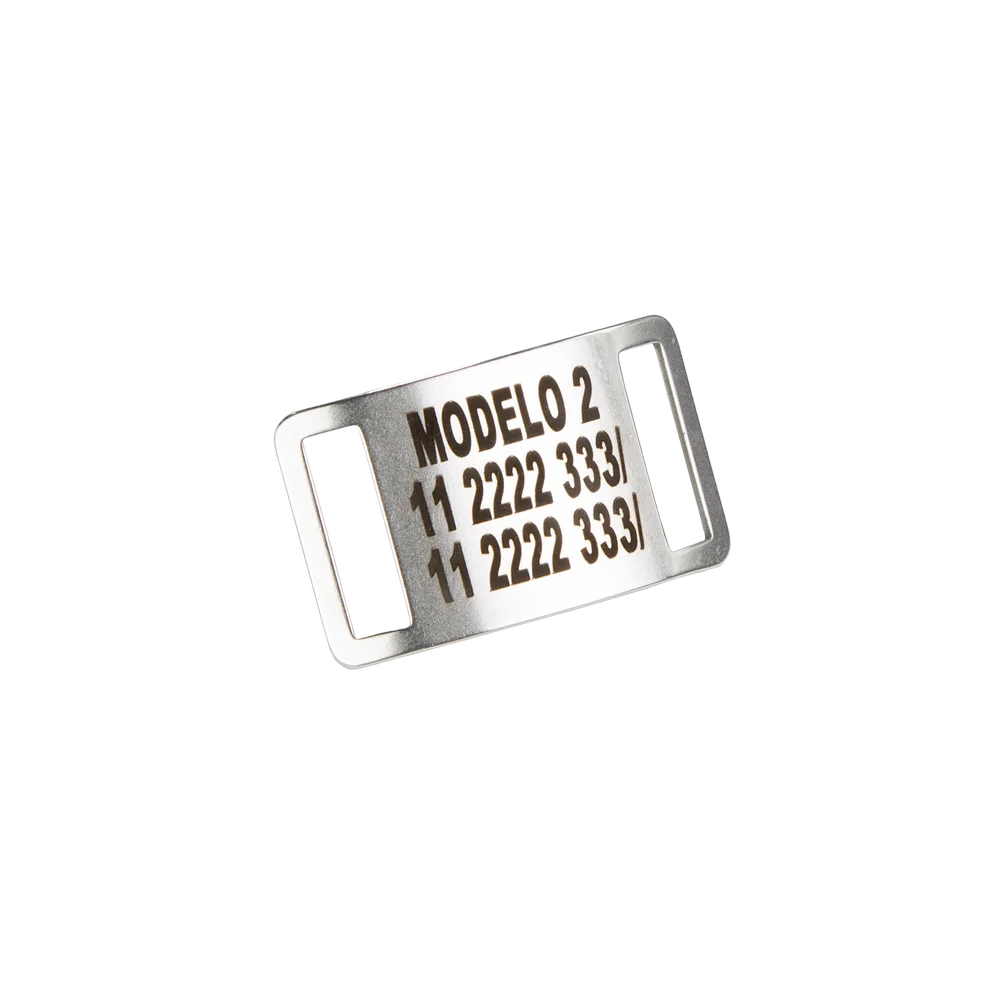 Pasante Modelo 2
